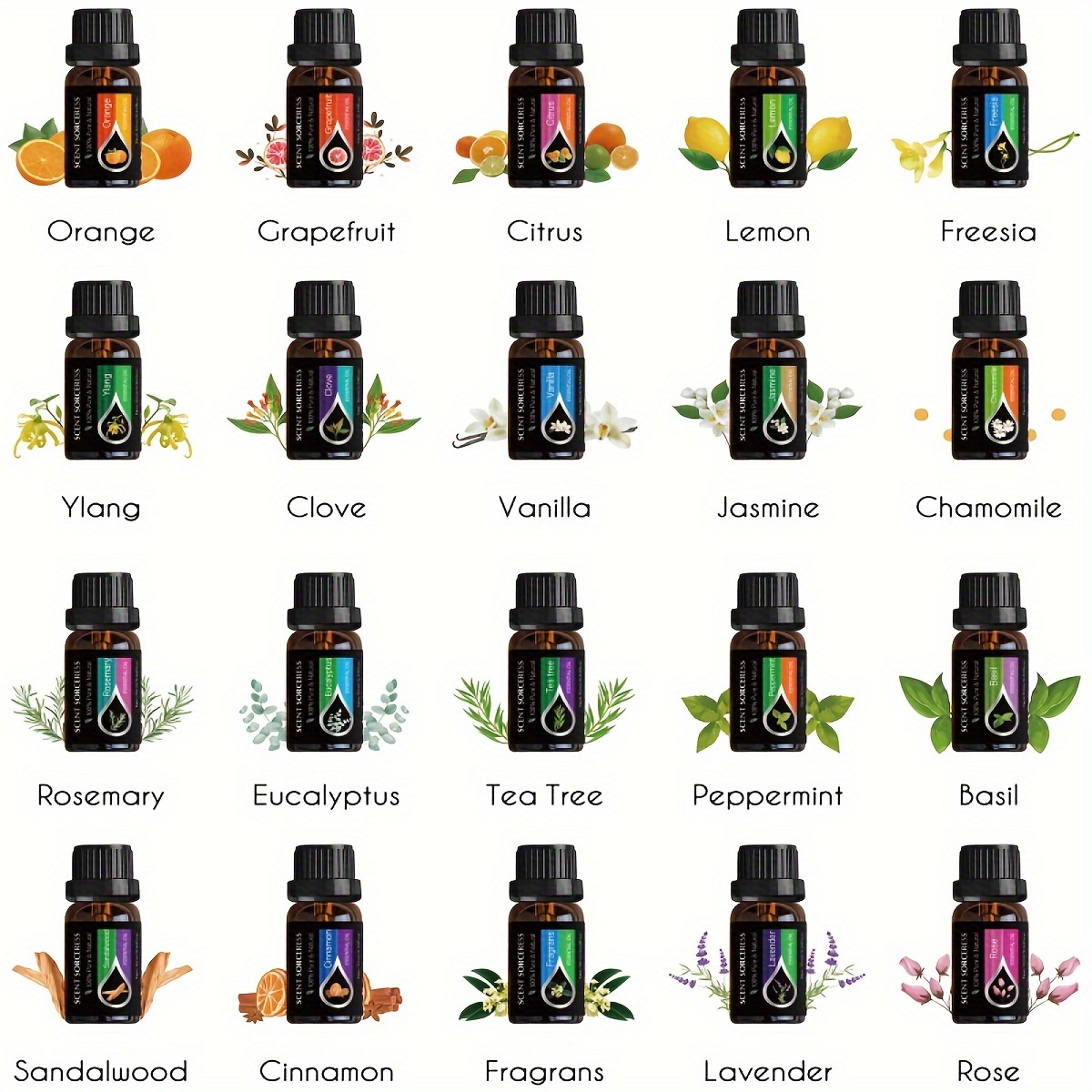 20pcs/set Essential Oil Set La - Spa Wellness Massage review and price