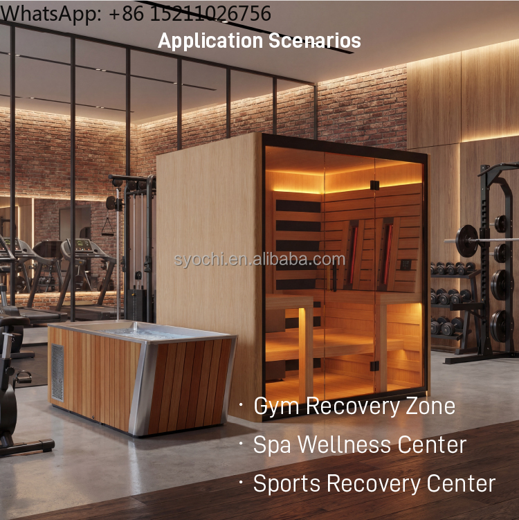 Luxury Sauna Cold Plunge Ice B - Spa Wellness Luxury review and price