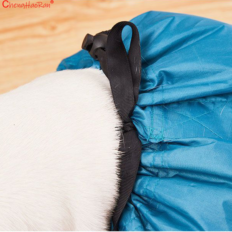1Pc Pet Drying Bag Hair Dryer  - Hair Spa Wellness review and price